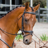 The Fancy Stitch Wave Hanoverian Bridle