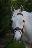 The Fancy Stitch Wave Hanoverian Bridle